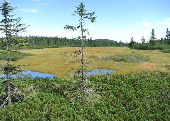 بيت ضيافة Popelka Špindlerŭv Mlýn